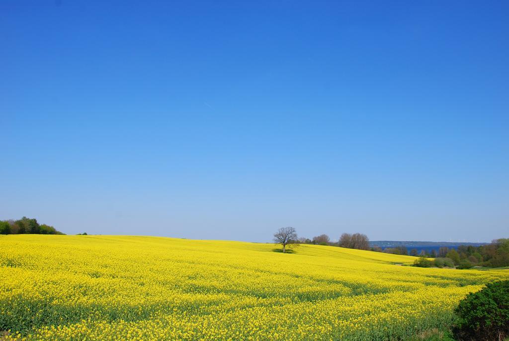 Meine Ecke 1 Eckernförde Exteriör bild
